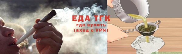 прущие грибы Гусиноозёрск