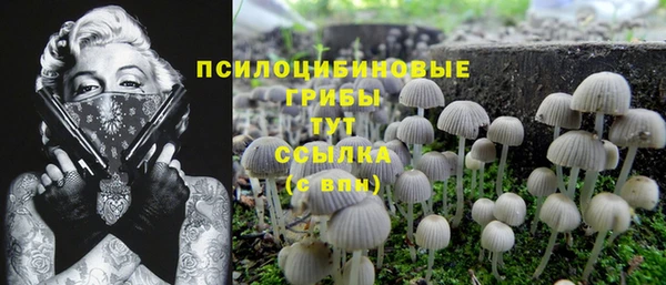 2c-b Горнозаводск