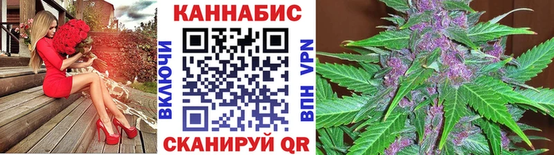 Бошки Шишки MAZAR  Купить где  Курильск 